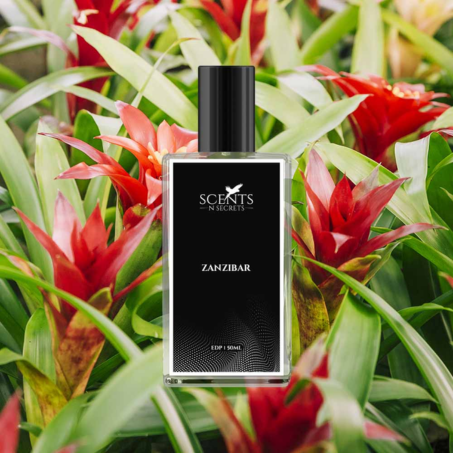 Zanzibar Parfum In Pakistan