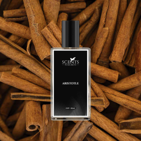 Aristotle For Men Parfum In Pakistan