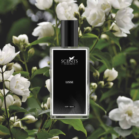 Lisse Parfum In Pakistan